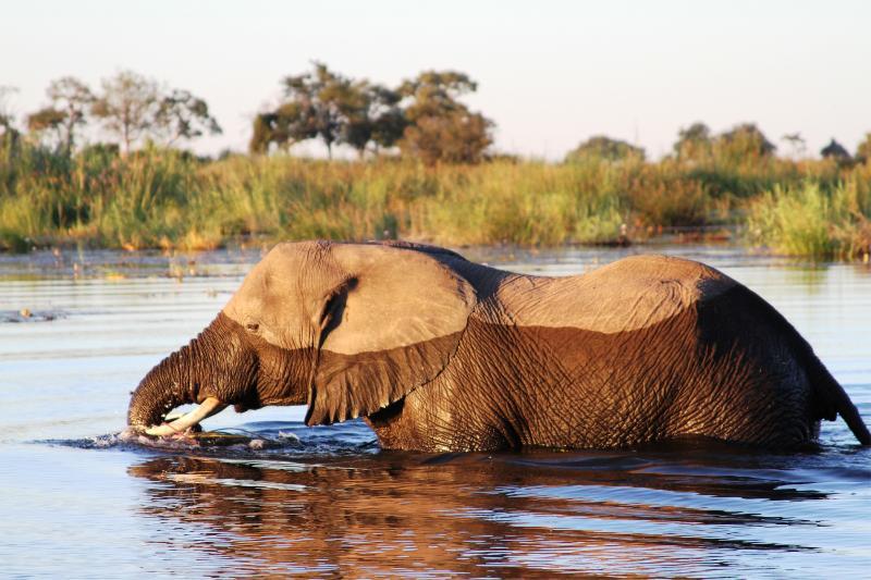 Jackalberry Tented Camp Lionga Exterior photo