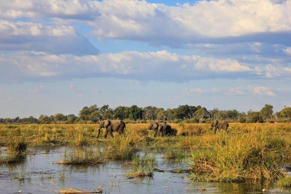 Jackalberry Tented Camp Lionga Exterior photo