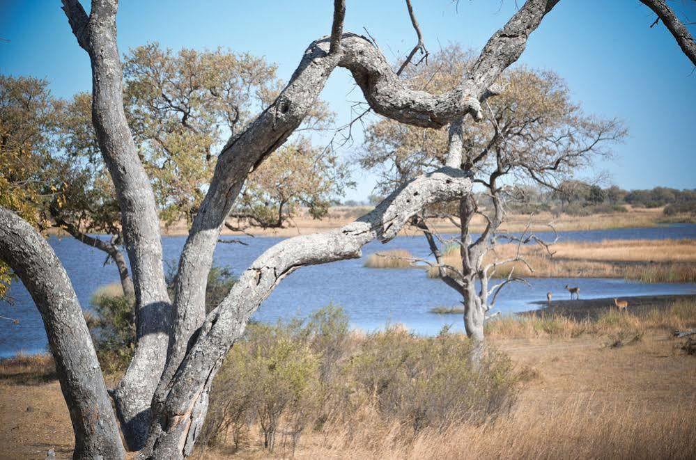 Jackalberry Tented Camp Lionga Exterior photo